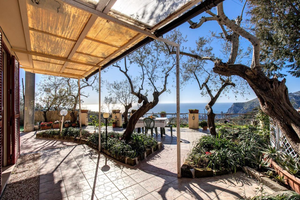 Il Pioppo - Country House Sea View Massa Lubrense Εξωτερικό φωτογραφία