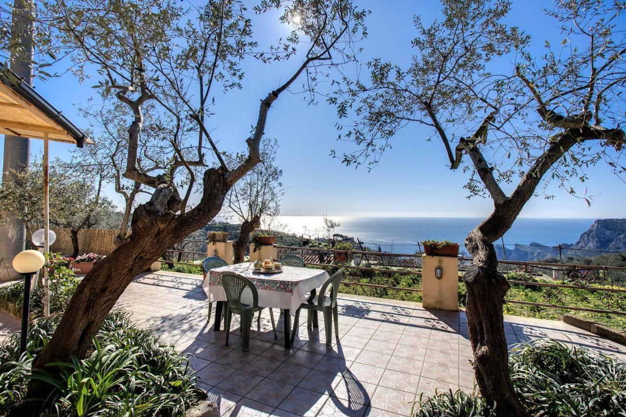 Il Pioppo - Country House Sea View Massa Lubrense Εξωτερικό φωτογραφία