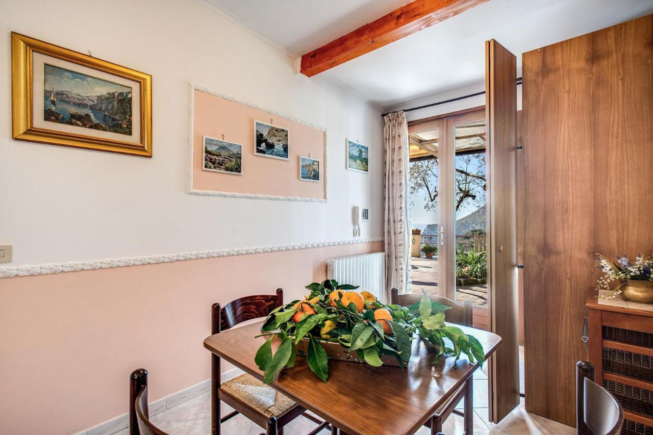 Il Pioppo - Country House Sea View Massa Lubrense Εξωτερικό φωτογραφία